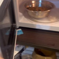 ご飯をレンジで加熱するふりをする飼い主