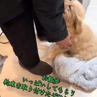 嬉しそうなかんくろう君