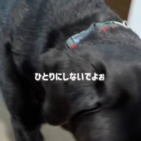 「一緒がいいんだってばぁ」