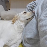 ママさんの背中にぴとっ♡
