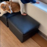 男の子が段差を降りる時のサクくん4