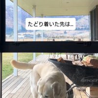 2頭が出した答えは…