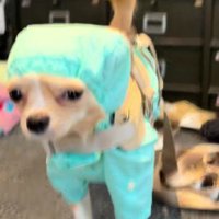 外科医の手術服みたい…！