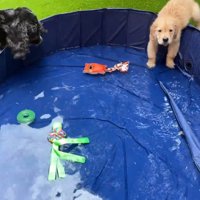 やっとプールに水がたまりました
