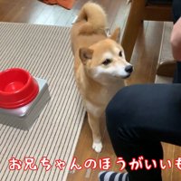 お兄ちゃんにベッタリ