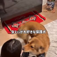 ママさん旅行中のラッキーくん2