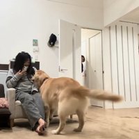 ハナコちゃんとお姉ちゃんの再会4