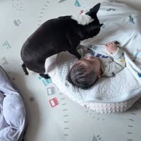 こんぶちゃんと赤ちゃん2