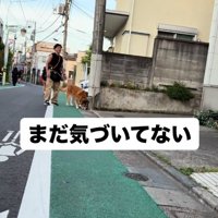 下を向く犬