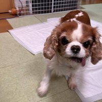 本当は童顔のかわいい女の子