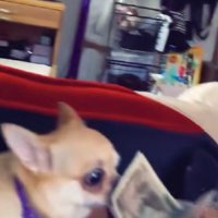 「はい！ちゃんと渡したよ！」