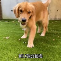 お庭で遊んで気分転換