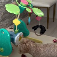 想像以上に気に入った♪