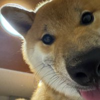 満面の笑みのうみくん