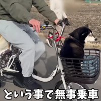 自転車に乗りたかった…