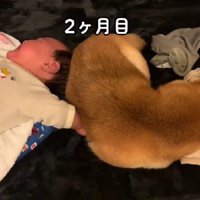 近くで寝られるようになった！
