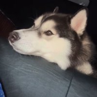 悩み相談をしたくなる！？