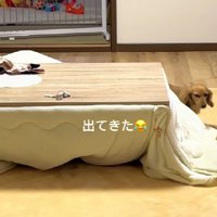 反対側からささっと外へ