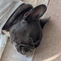 眠るジーナちゃん