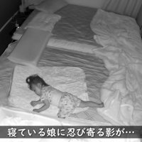 カメラで確認してみたら…