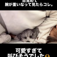 この時間がずっと続けばいいのに…