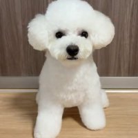 ビフォーアフター