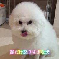 睨みつけているよう