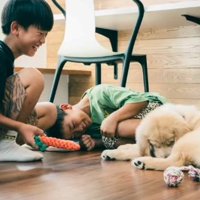 子犬を笑顔で見つめる子供たち