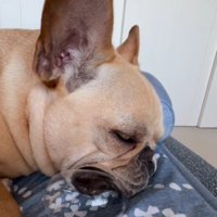 口からちょうちんが…！