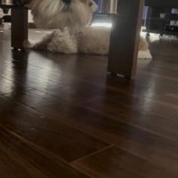 顔が浮いた！？