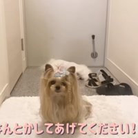 優しい桃ちゃん