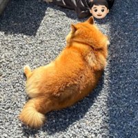 寝転がる
