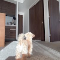 「帰ってきた！！」