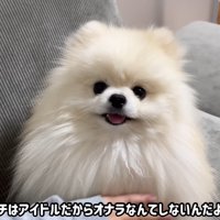 すっかりご機嫌に♪