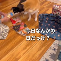 オヤツをたくさんもらいました！