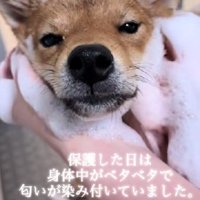 体はベタベタに汚れ…