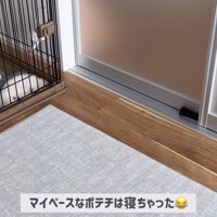 ポテチくんとレモンさんの初対面7