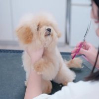 赤ちゃんみたいにイヤイヤ