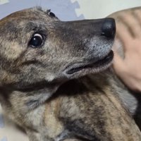 りゅうさん、元気に長生きしてね！