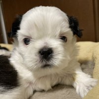 赤ちゃん
