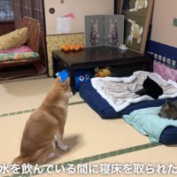 哀愁漂う背中が切ない…