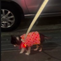 ギリギリ外側を歩くも…