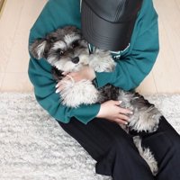 抱っこしてあやしてもらうティノちゃん