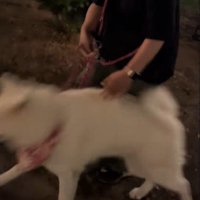 看板から離れると…