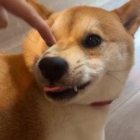 指を近づけるママ