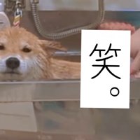 満更でもないご様子
