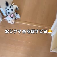 周囲を見ながら廊下を歩く男の子