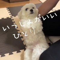 別々で寝ようとしたら…