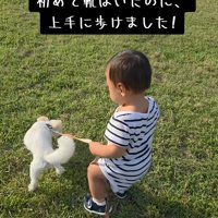 散歩をする小型犬と赤ちゃん
