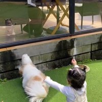 両手を広げながら、テラスで休憩する男性に近寄る女の子